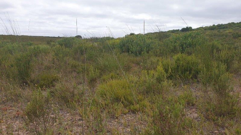 0 Bedroom Property for Sale in Stilbaai Rural Western Cape